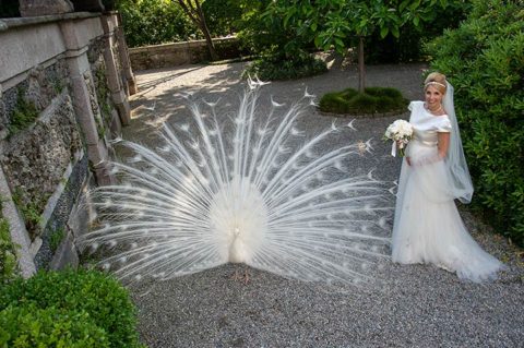 Wedding on Lake Maggiore Islands