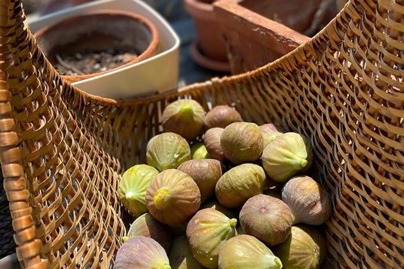 Ranch delle Donne social Farm in Piemonte countryside