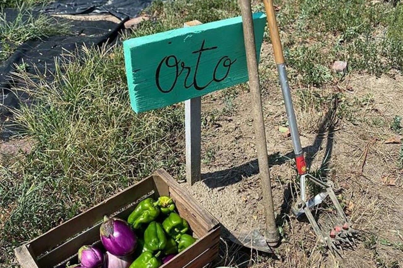 Ranch delle Donne social Farm in Piemonte countryside